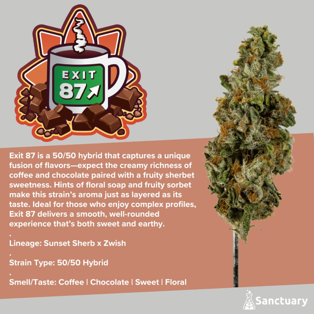 Sanctuary - Exit 87 Flower