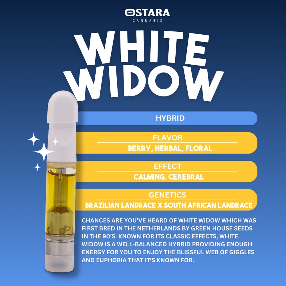 White Widow