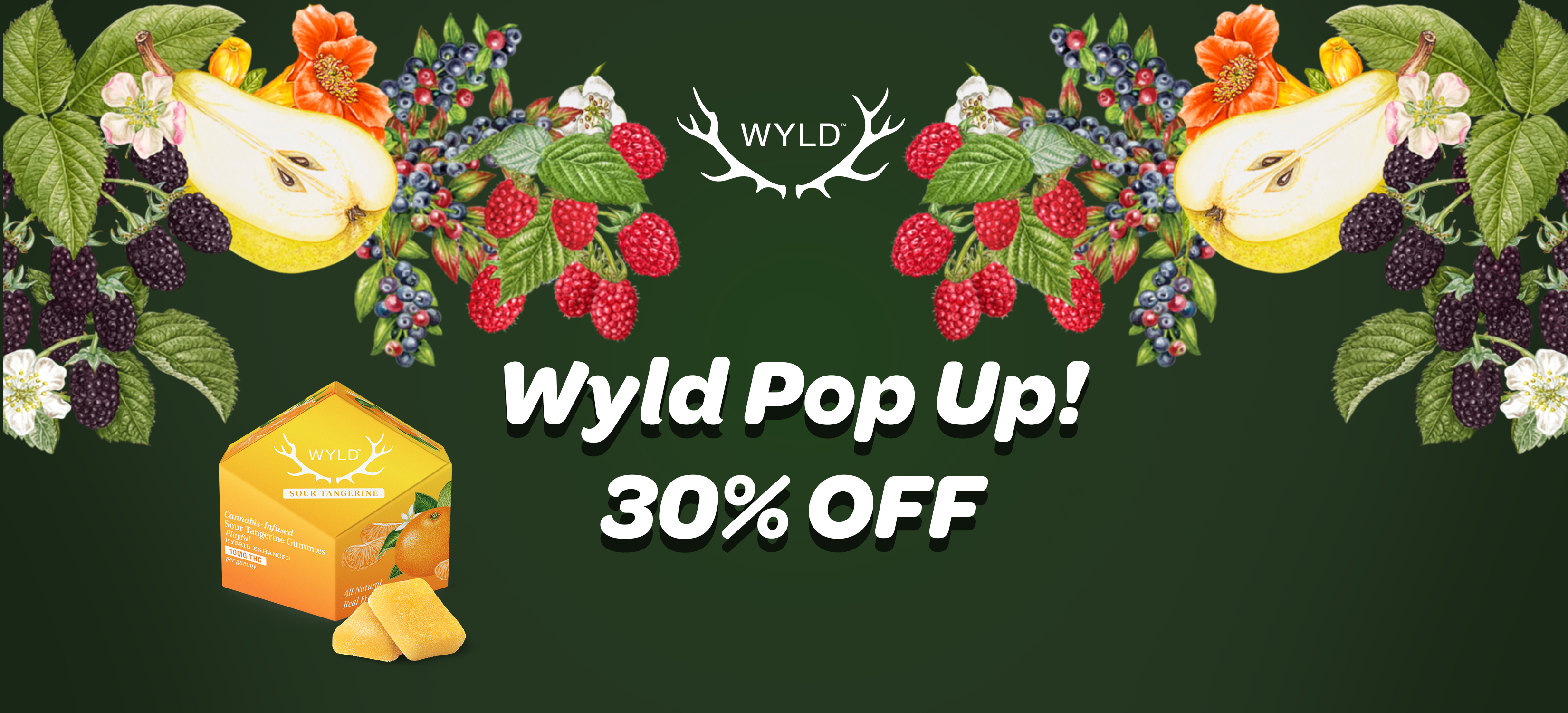 WYLD Pop-up 30% off! special