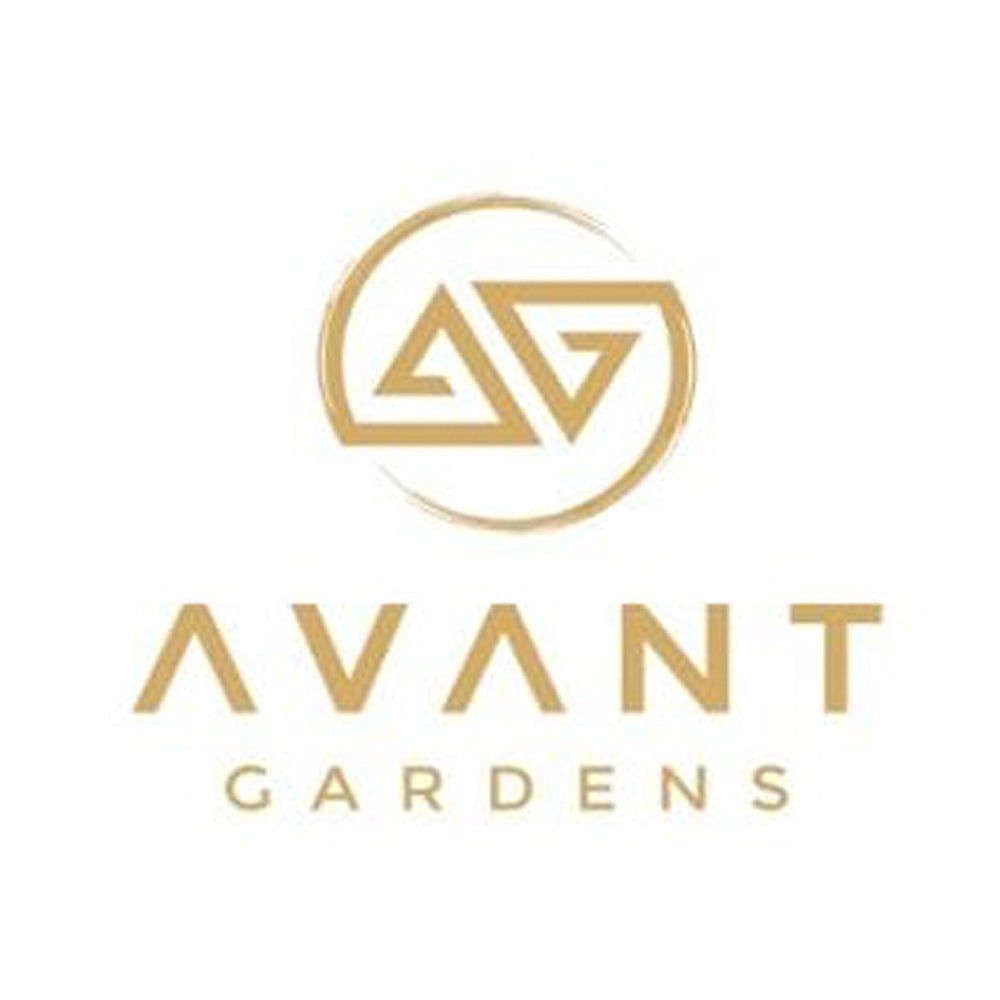 Frankenstein Avant Gardens B Buds Jane