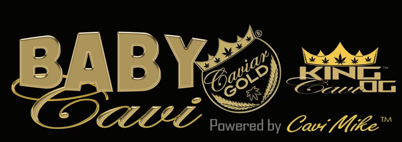 Shop King Cavi OG [.5g] | The Superior Dispensary