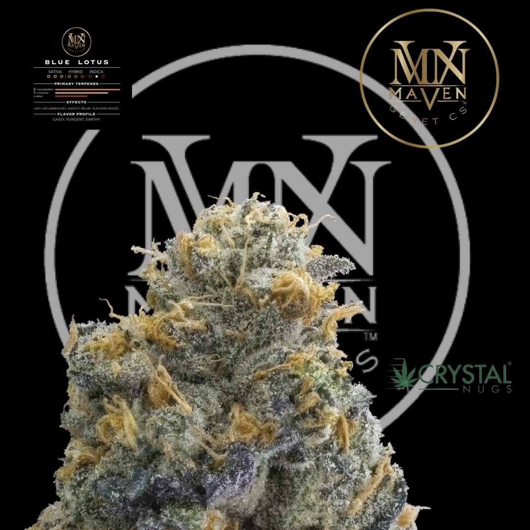 Shop Blue Lotus [1g]