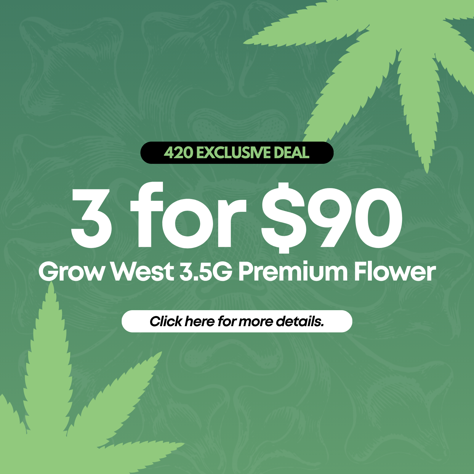 3 for $90 Grow West 3.5G Premium Flower special