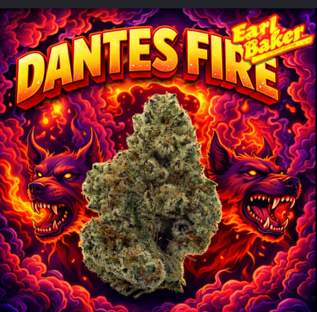 Dantes Fire