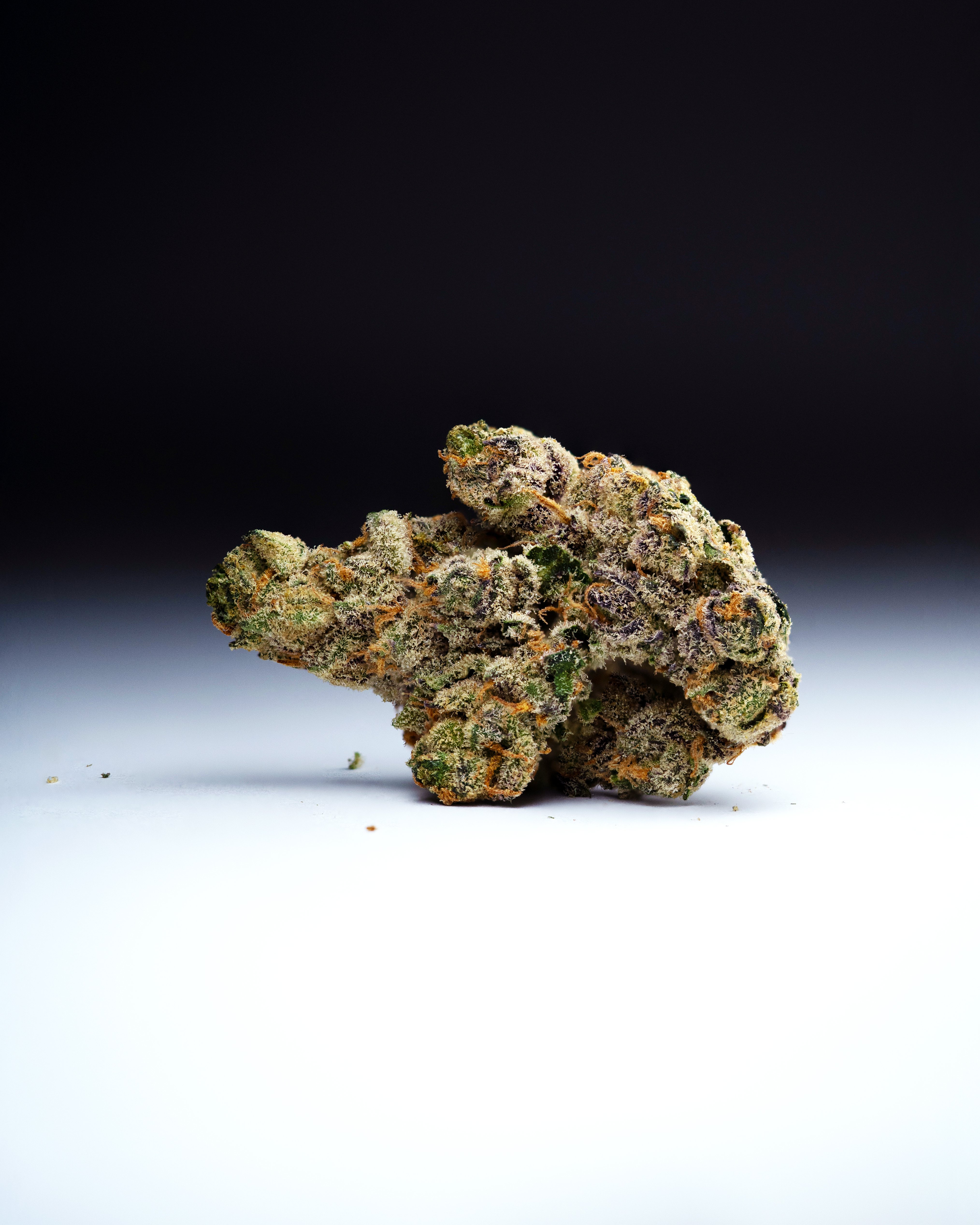 Lemon Cherry Sherbert