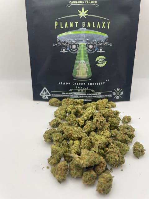 Lemon Cherry Sherbert