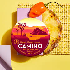 5mg Camino 'Uplifting' Pineapple Habanero Gummies 100mg THC total