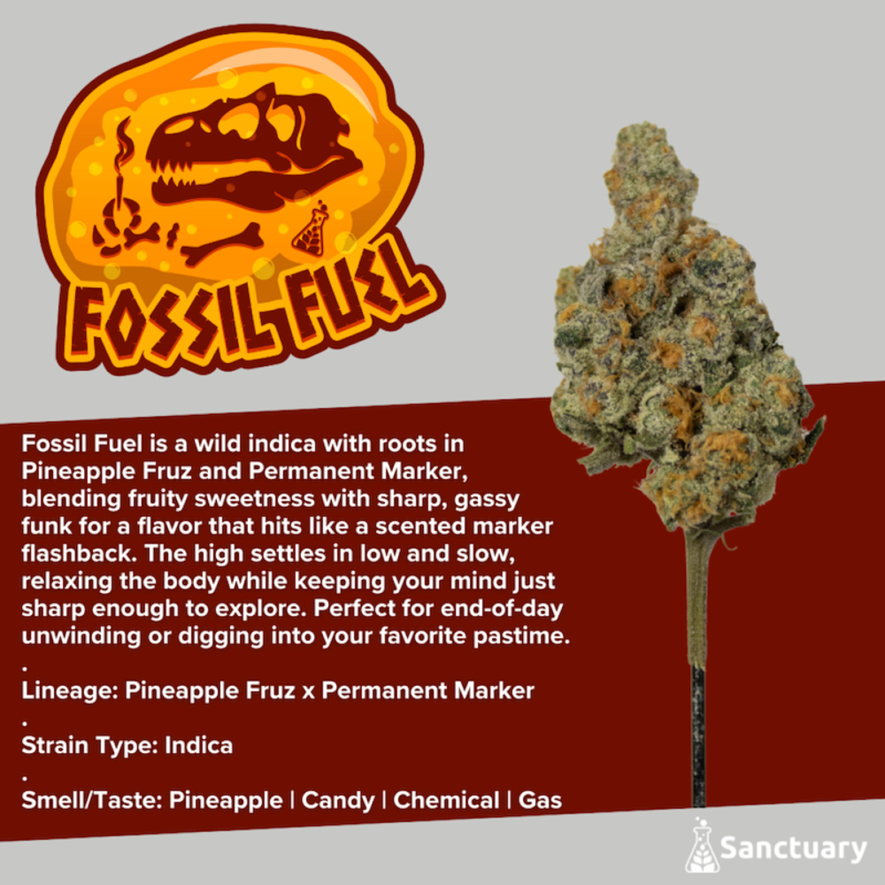 Sanctuary - Fossil Fuel Flower
