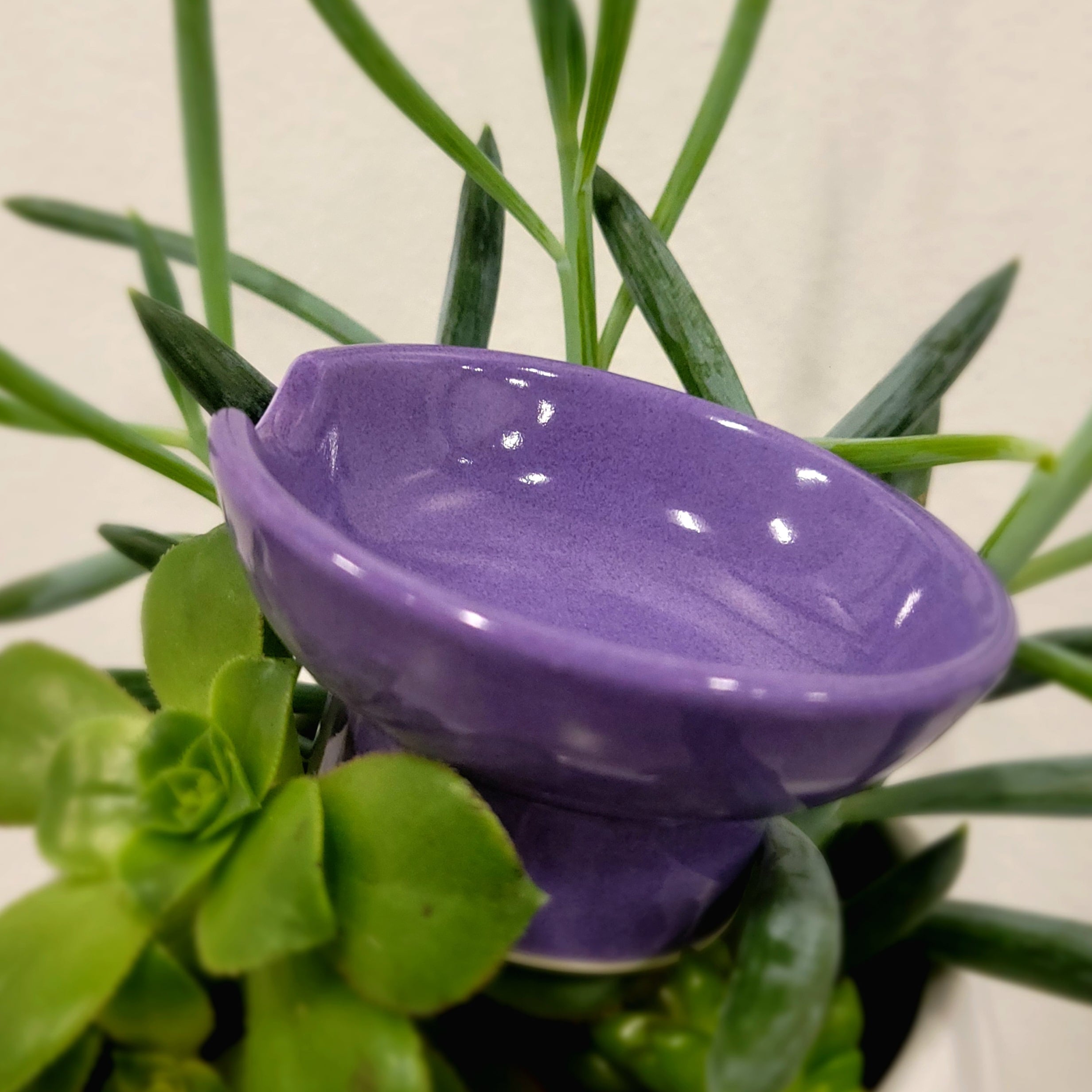 Barrow Street Herb Bowl - Adela Lavendar