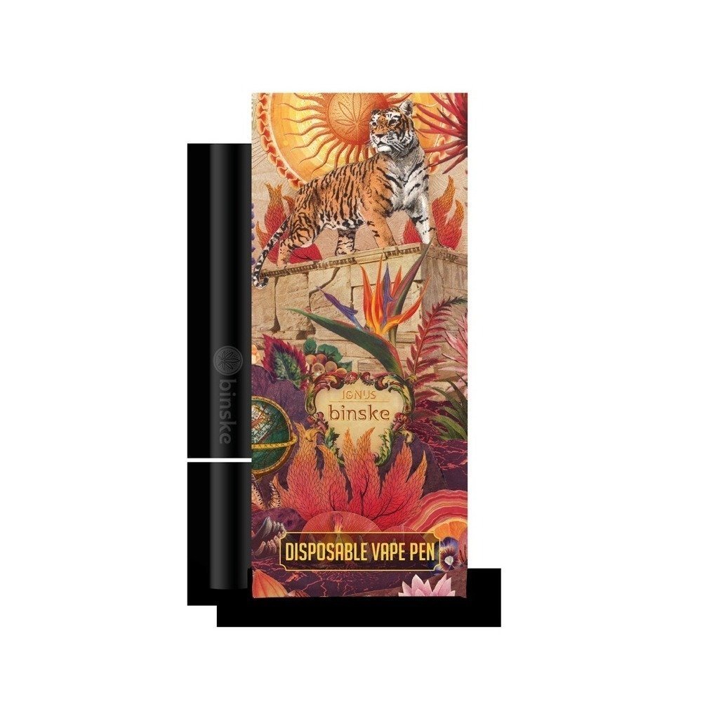 Key Lime OG [350mg] Binske Disposable Vape Pen Jane