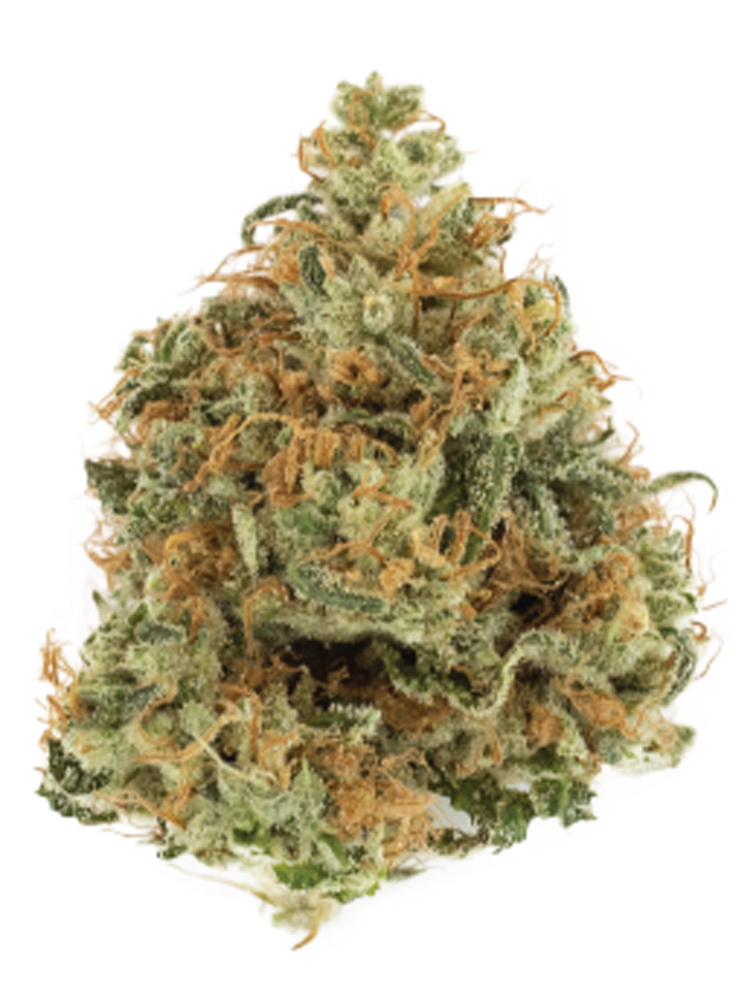 Cookies n Chem Grassroots Jane