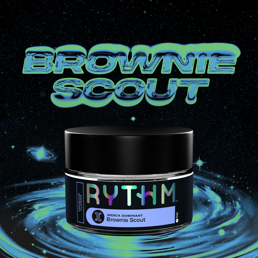 Brownie Scout