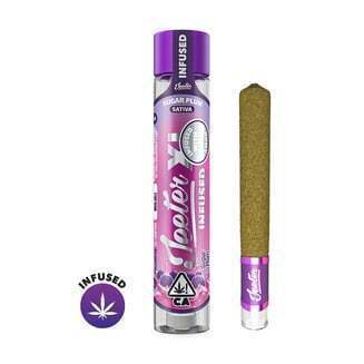 Sugar Plum [2g]