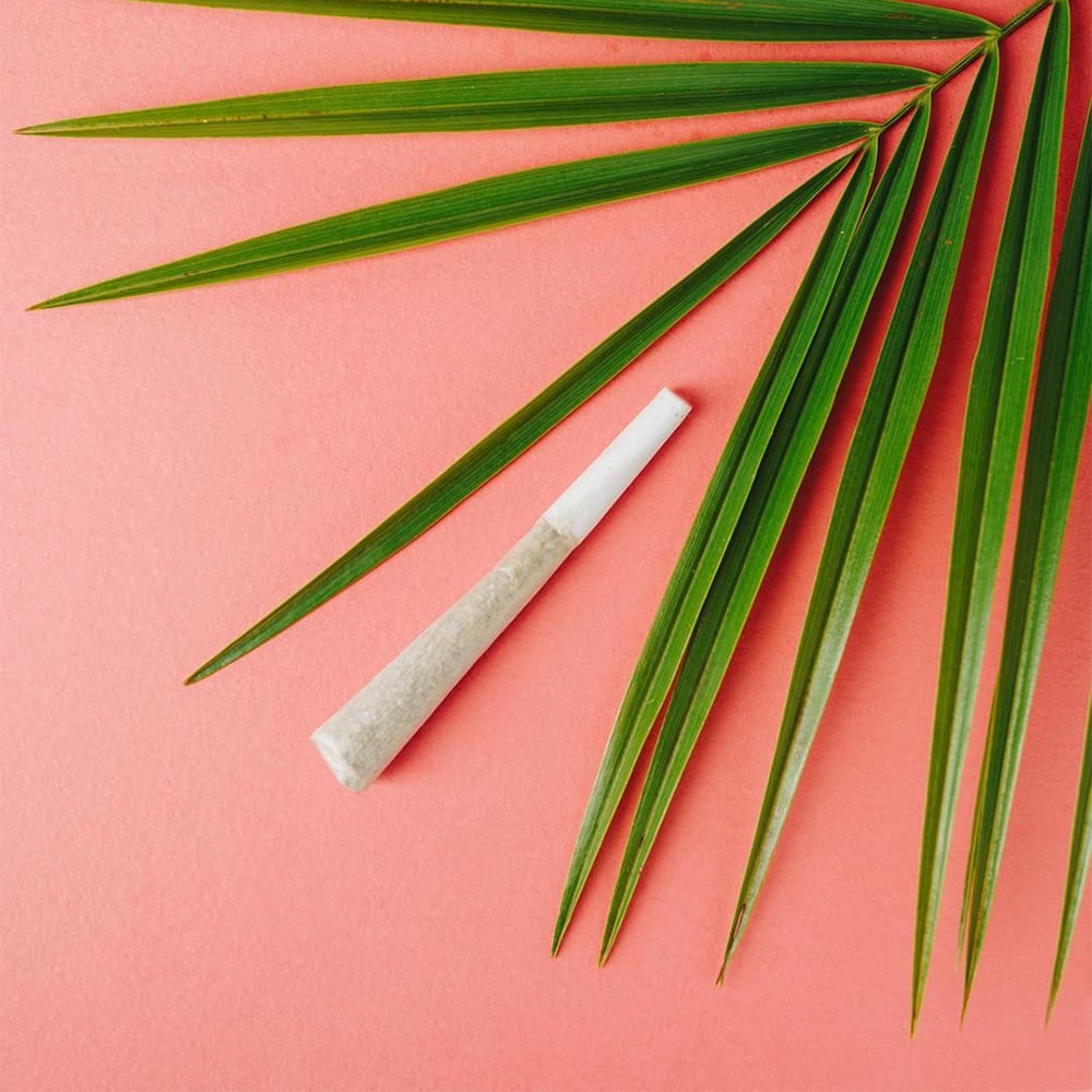 Orange Push Pop [1g]