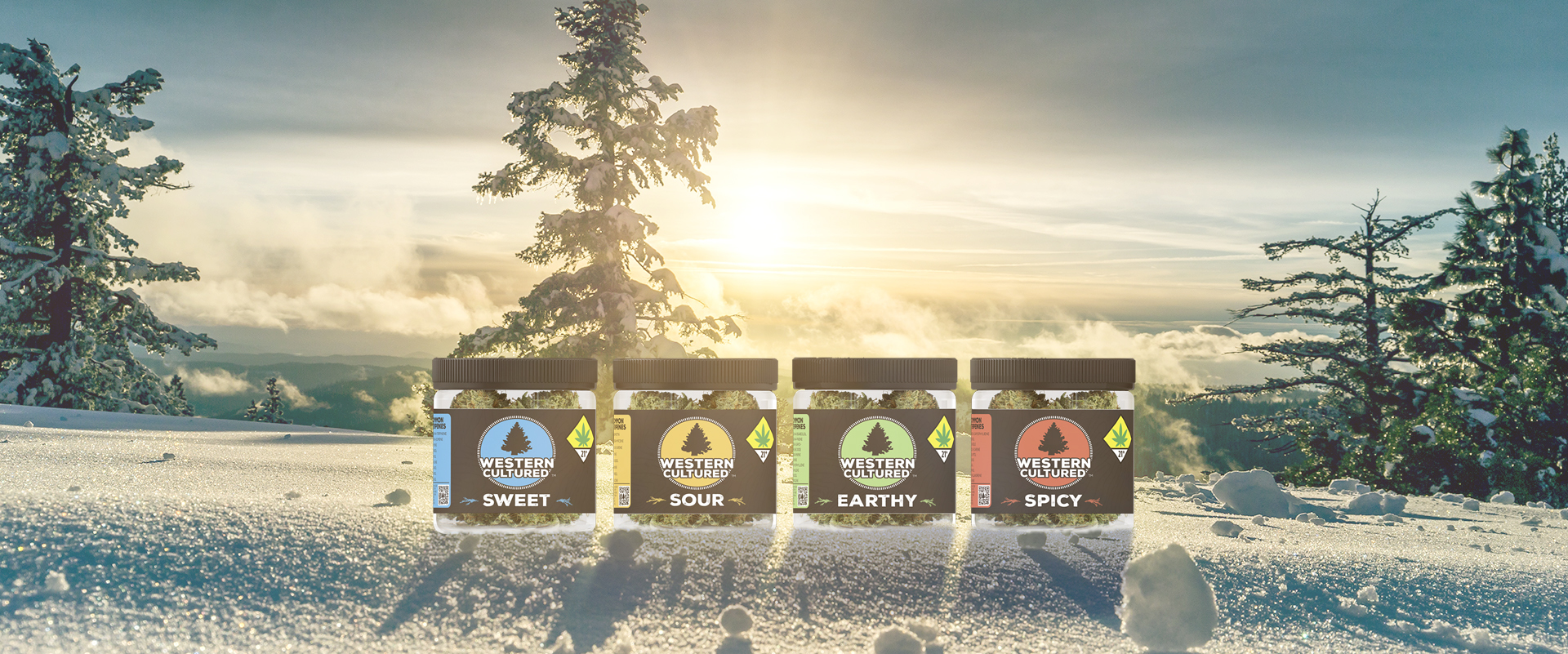 Lumpy Space Princess