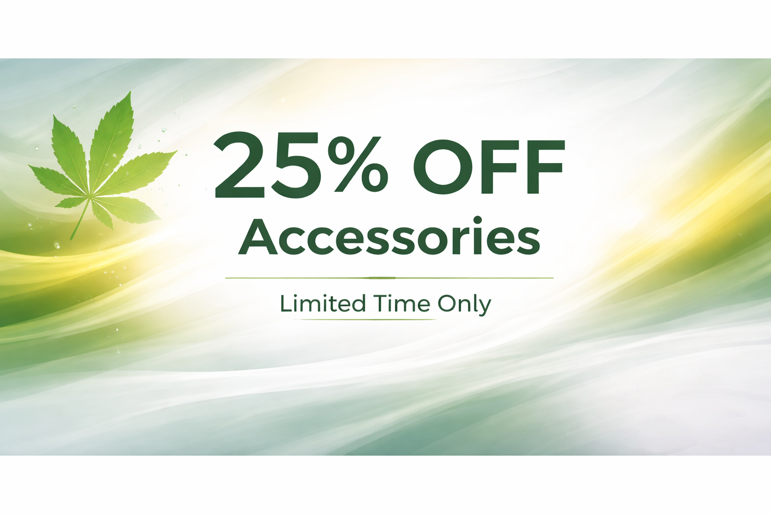 Accessories 25% OFF!! special