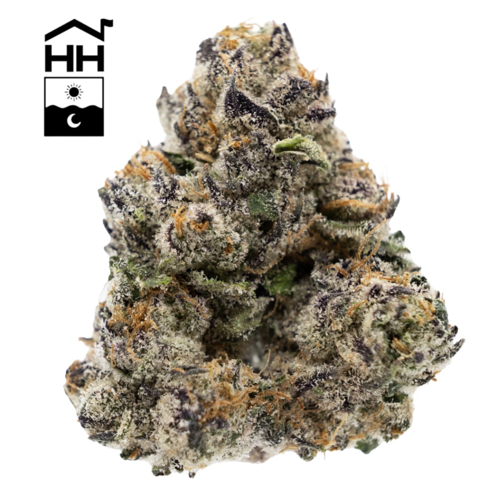 Harbor House Collective - BigDankLato Flower
