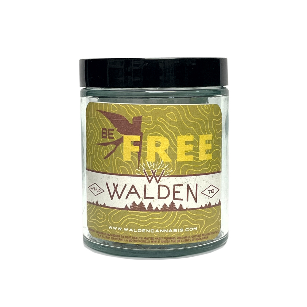 Shop Alien Tangie | Dockside Cannabis - SODO Dispensary Seattle, WA