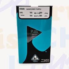 Plug Play 30% Off special