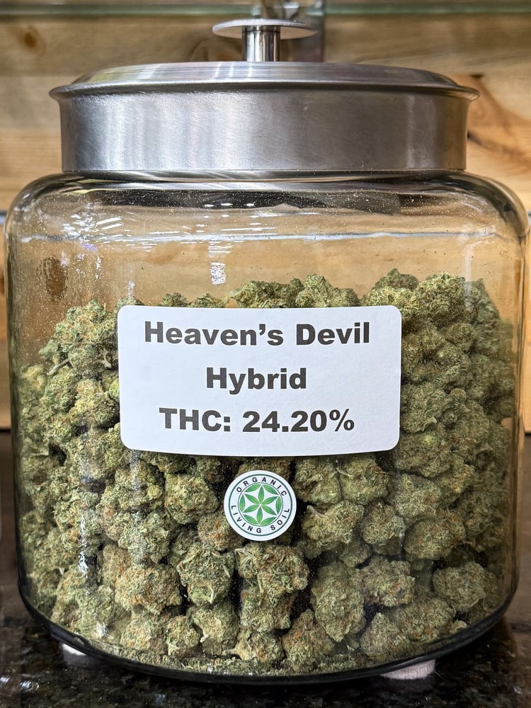 Heaven's Devil