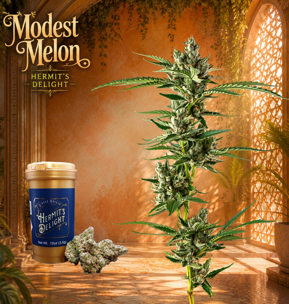 Modest Melon