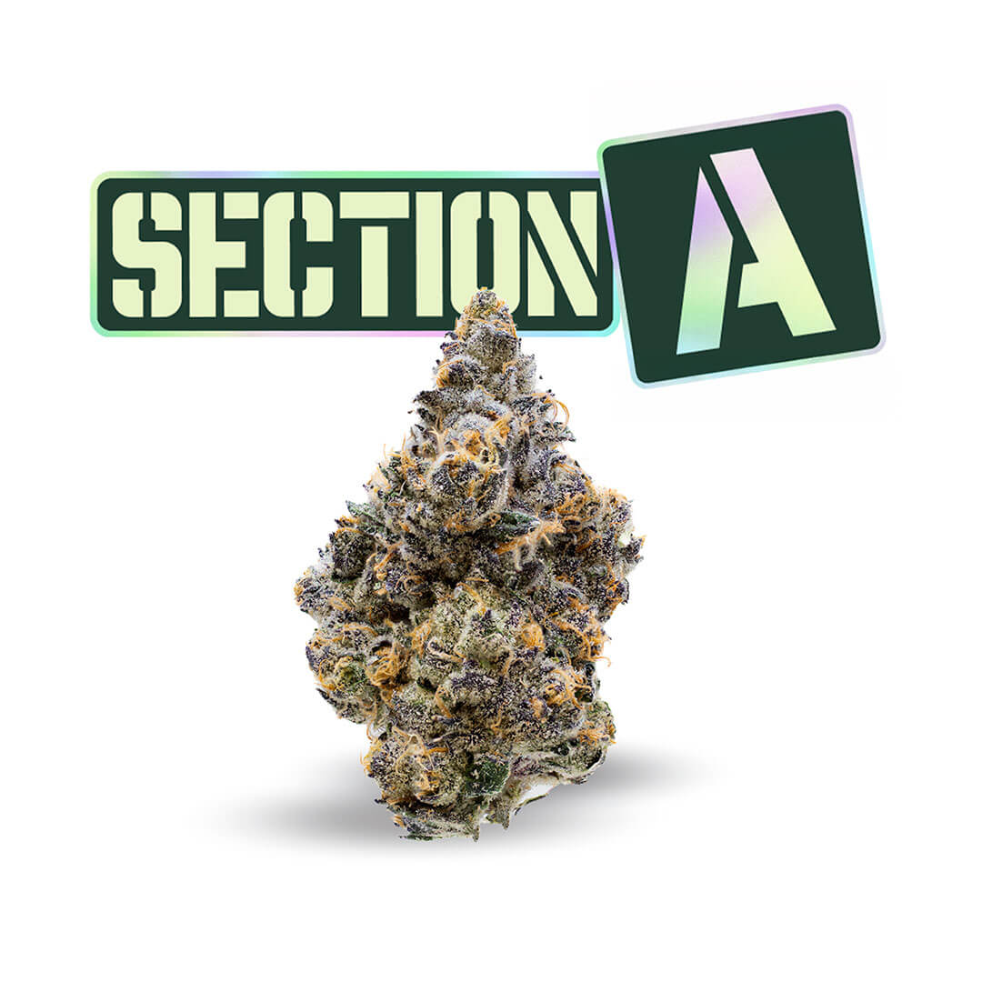 Section A