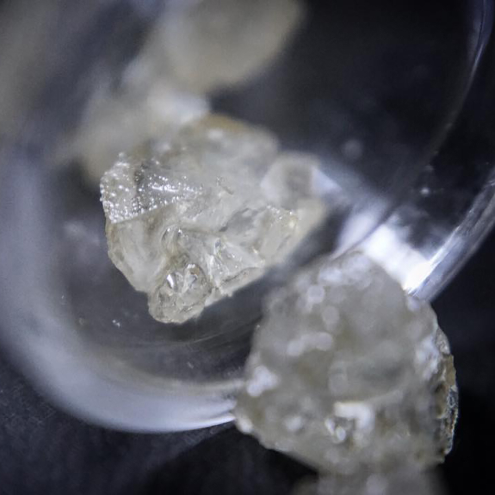 Jelly Hard Candy Seattle's Private Reserve Terp Diamonds Jane