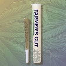 Farmer's Cut - Cheddar cheese - Pre-roll - Indica - 1g