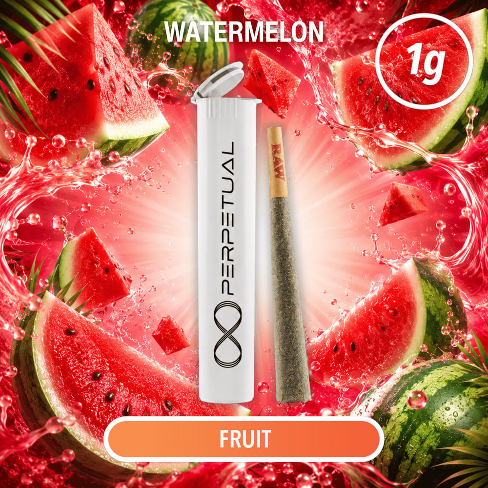 Perpetual - Watermelon Infused Pre-Roll (1g)
