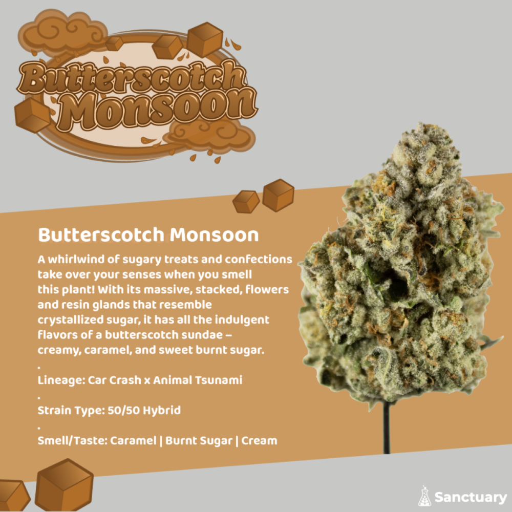 Sanctuary - Butterscotch Monsoon Flower