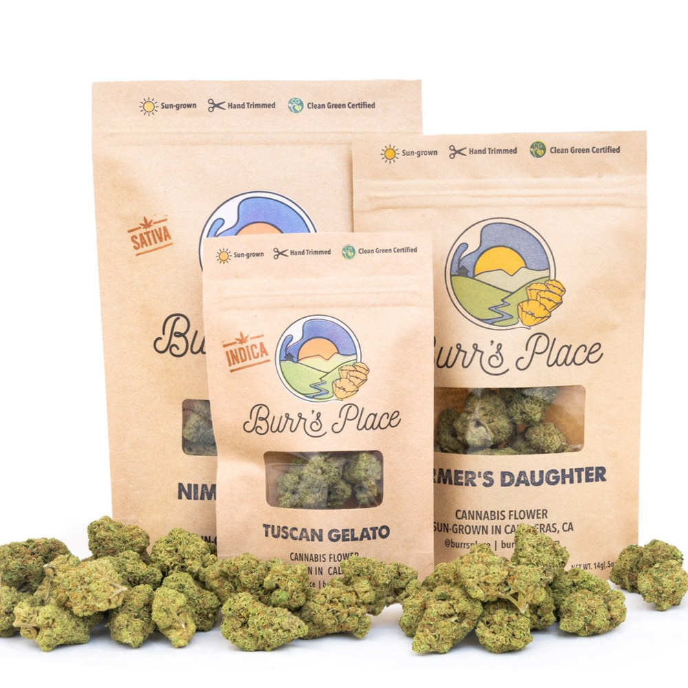 Gelato Kush
