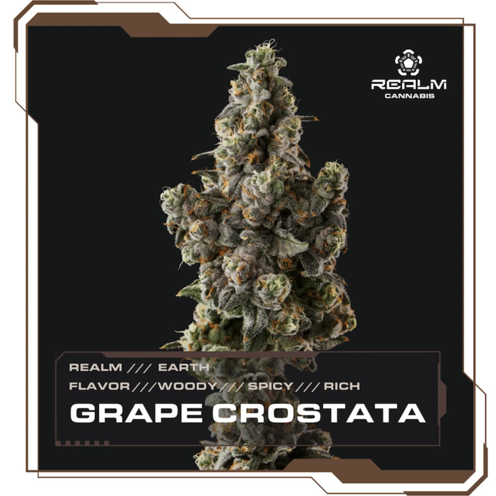 Realm - Grape Crostata Top Cut Flower