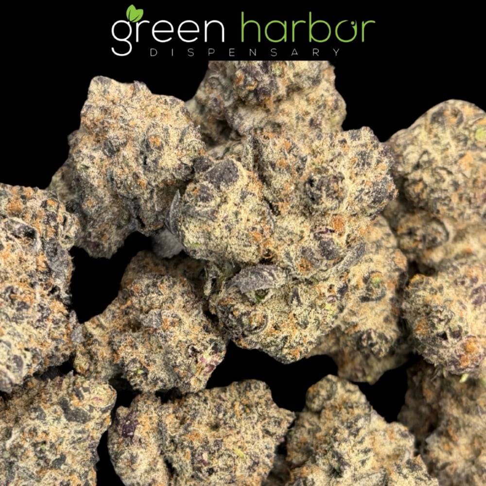 Green Harbor - Fritter Banger Flower Green Harbor - Fritter Banger Flower