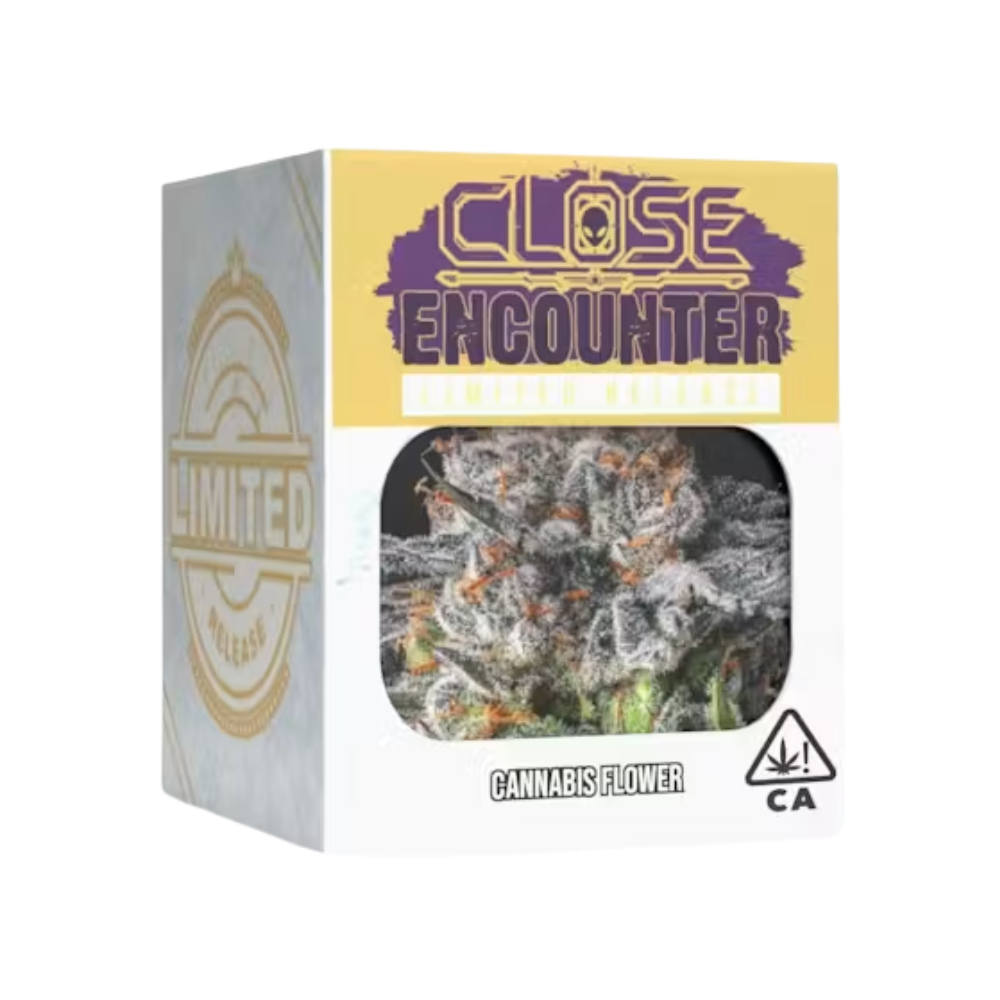 Close Encounter