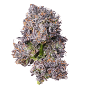 Purple Lotus Kush