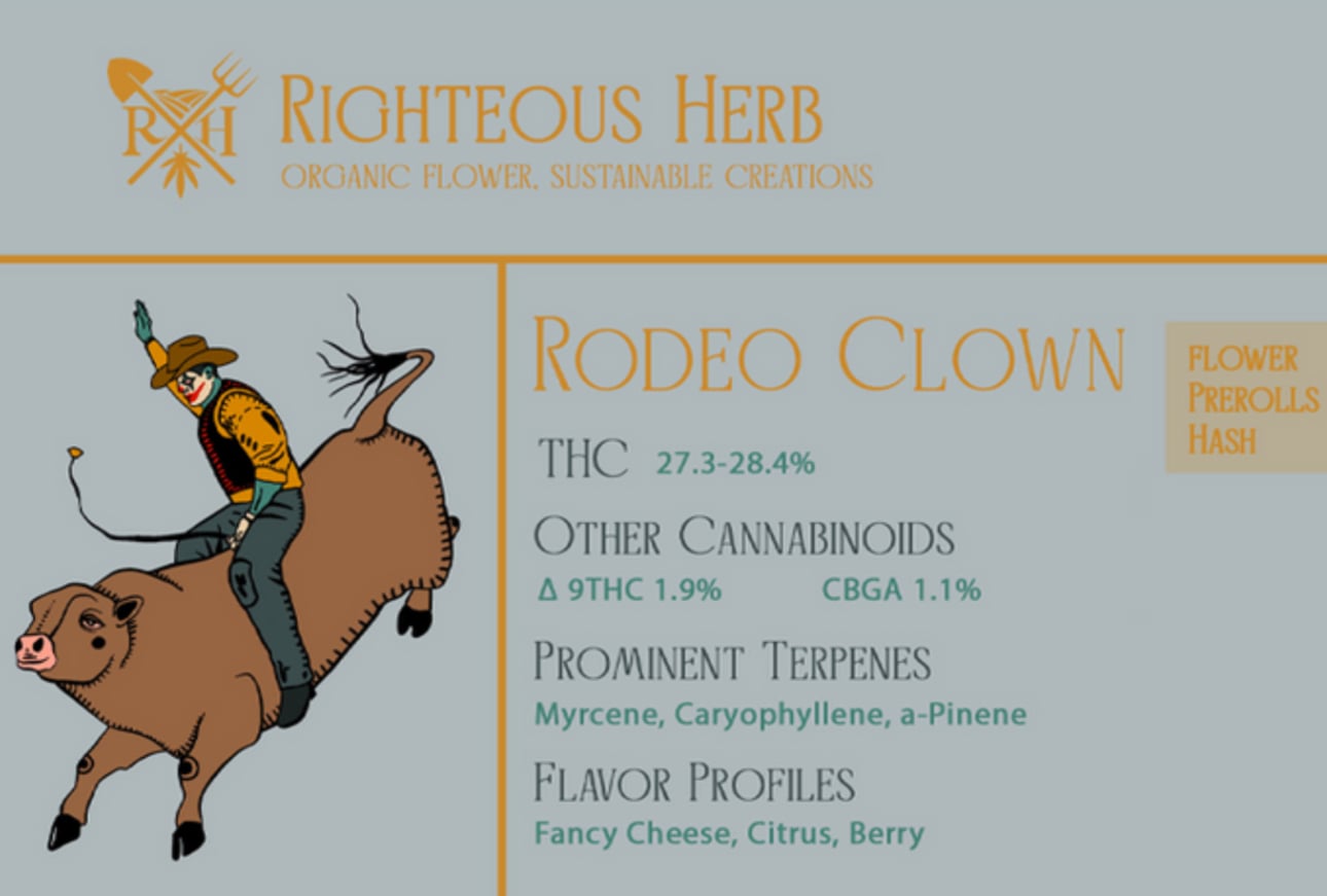 Rodeo Clown