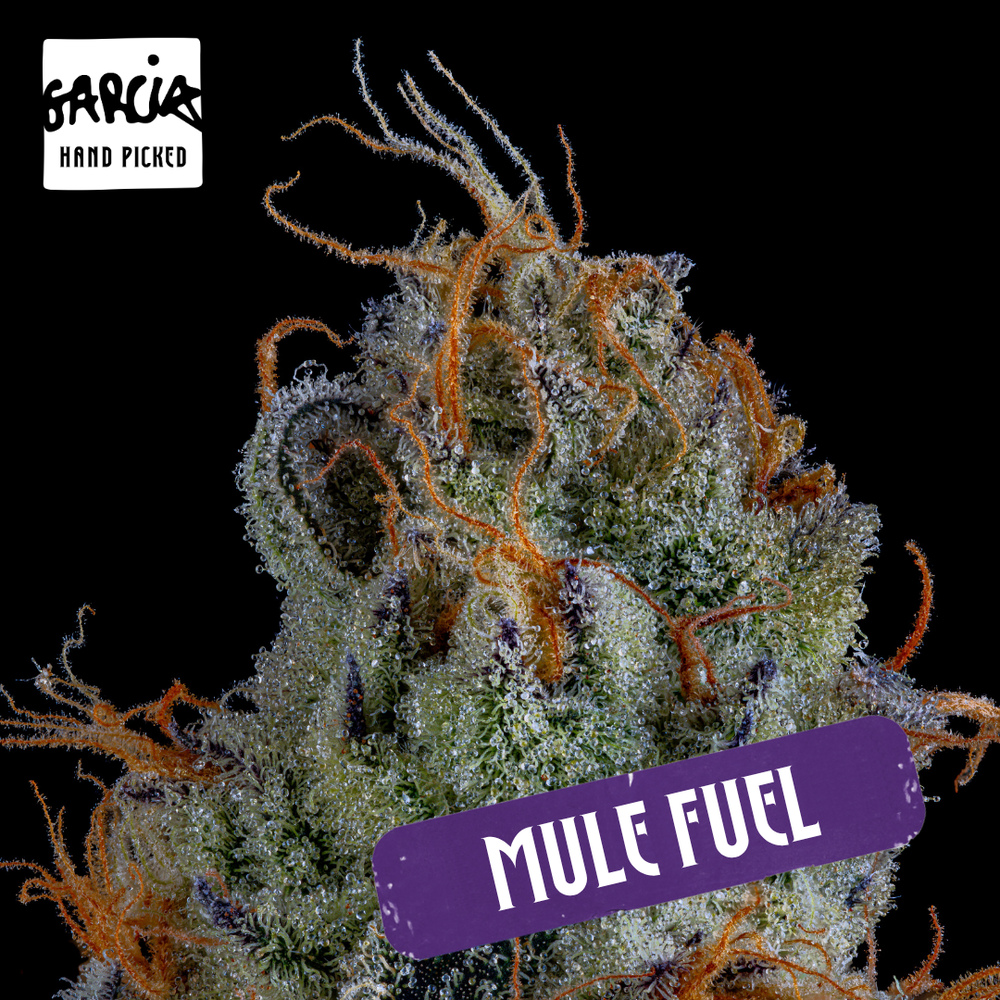 Mule Fuel Flower