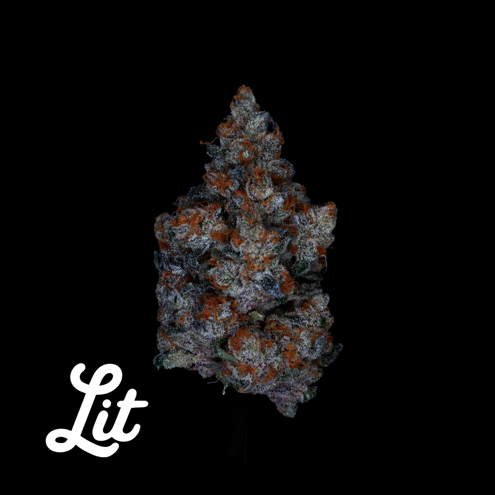 Loud Cake