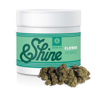 GMO Skunk Cake