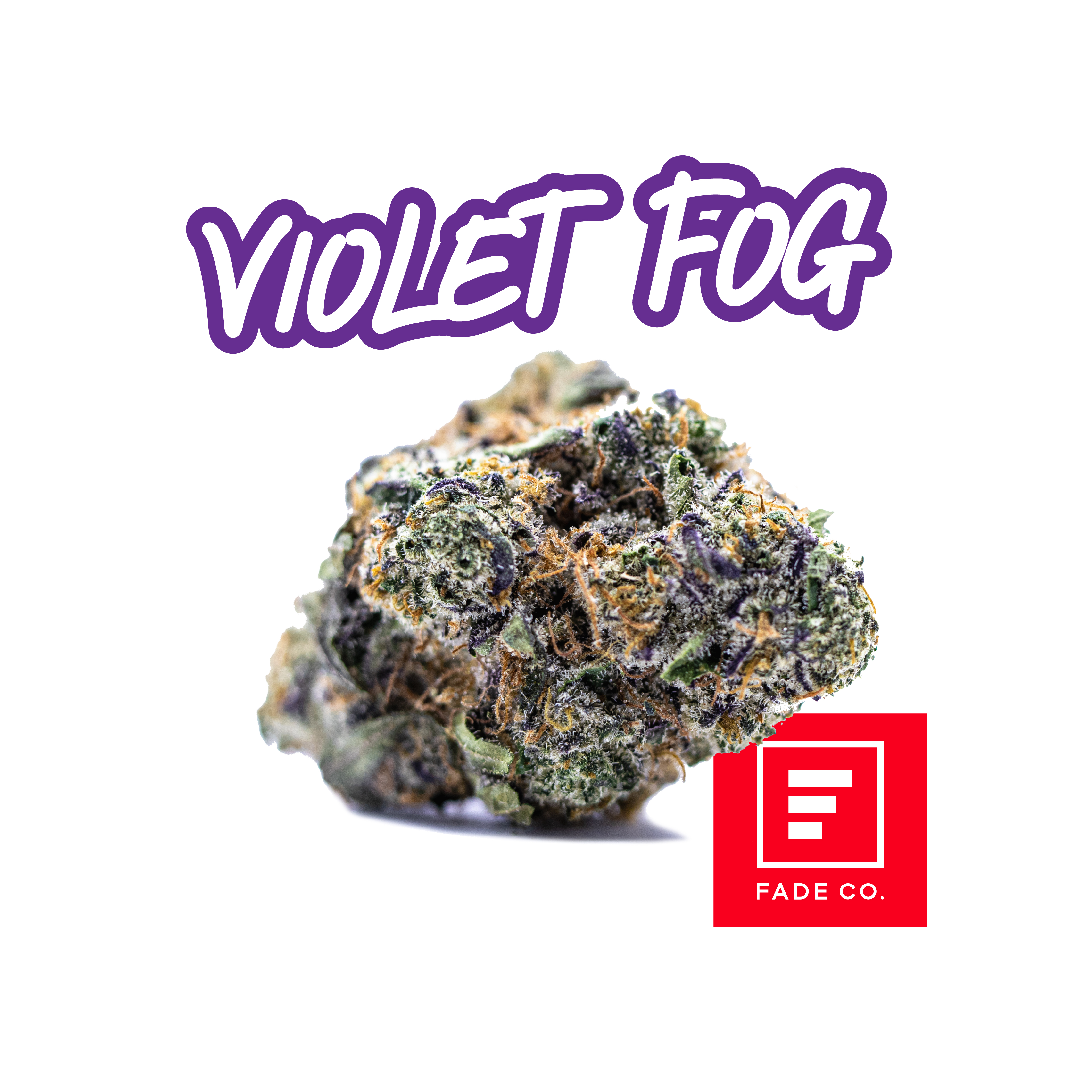 Violet Fog #2 - hybrid flower by Fade Co.