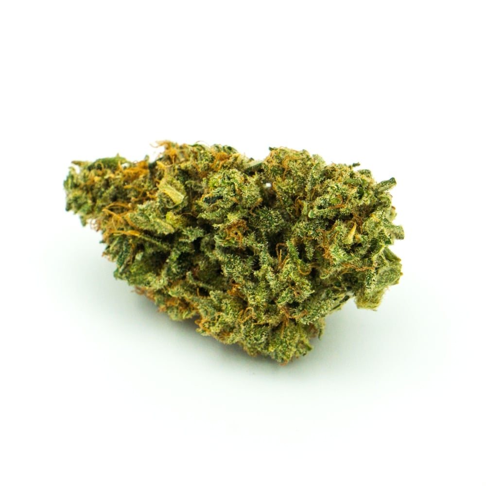 Budhaus - Tangerine Borealis Flower