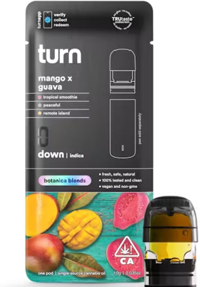 mango x guava