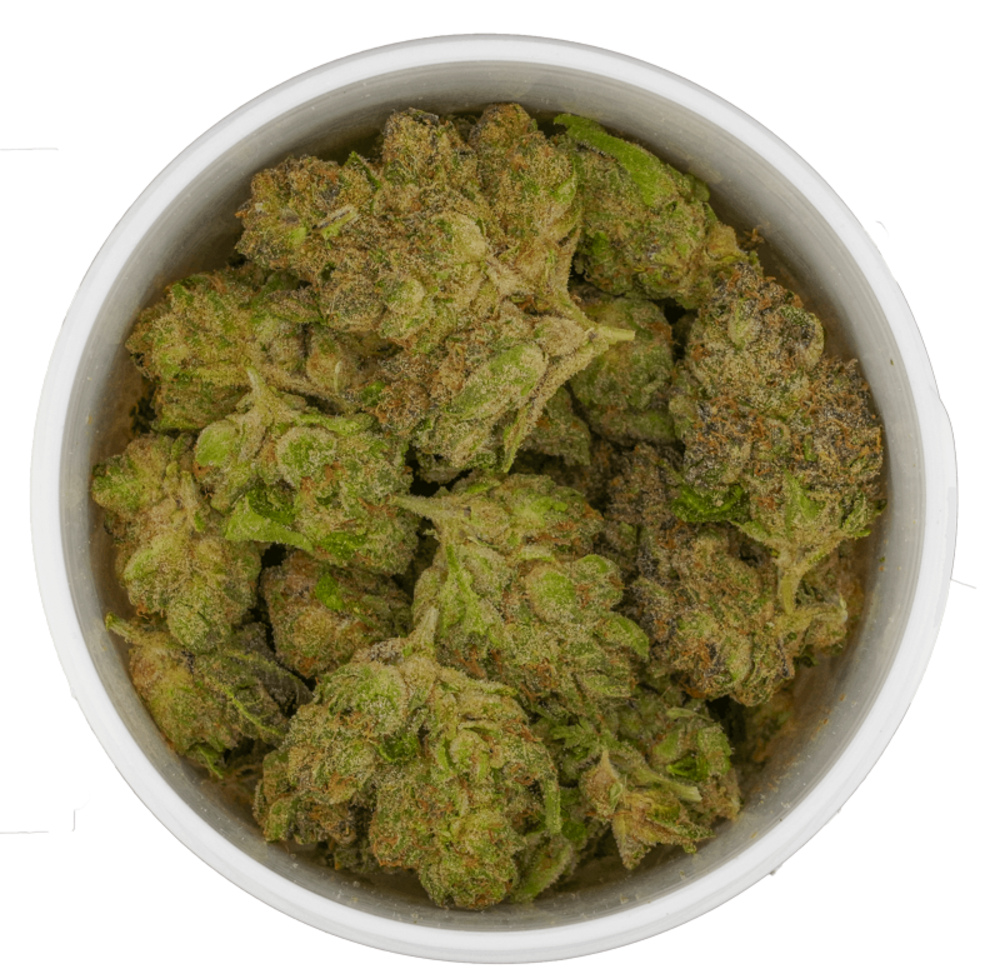 Plantz