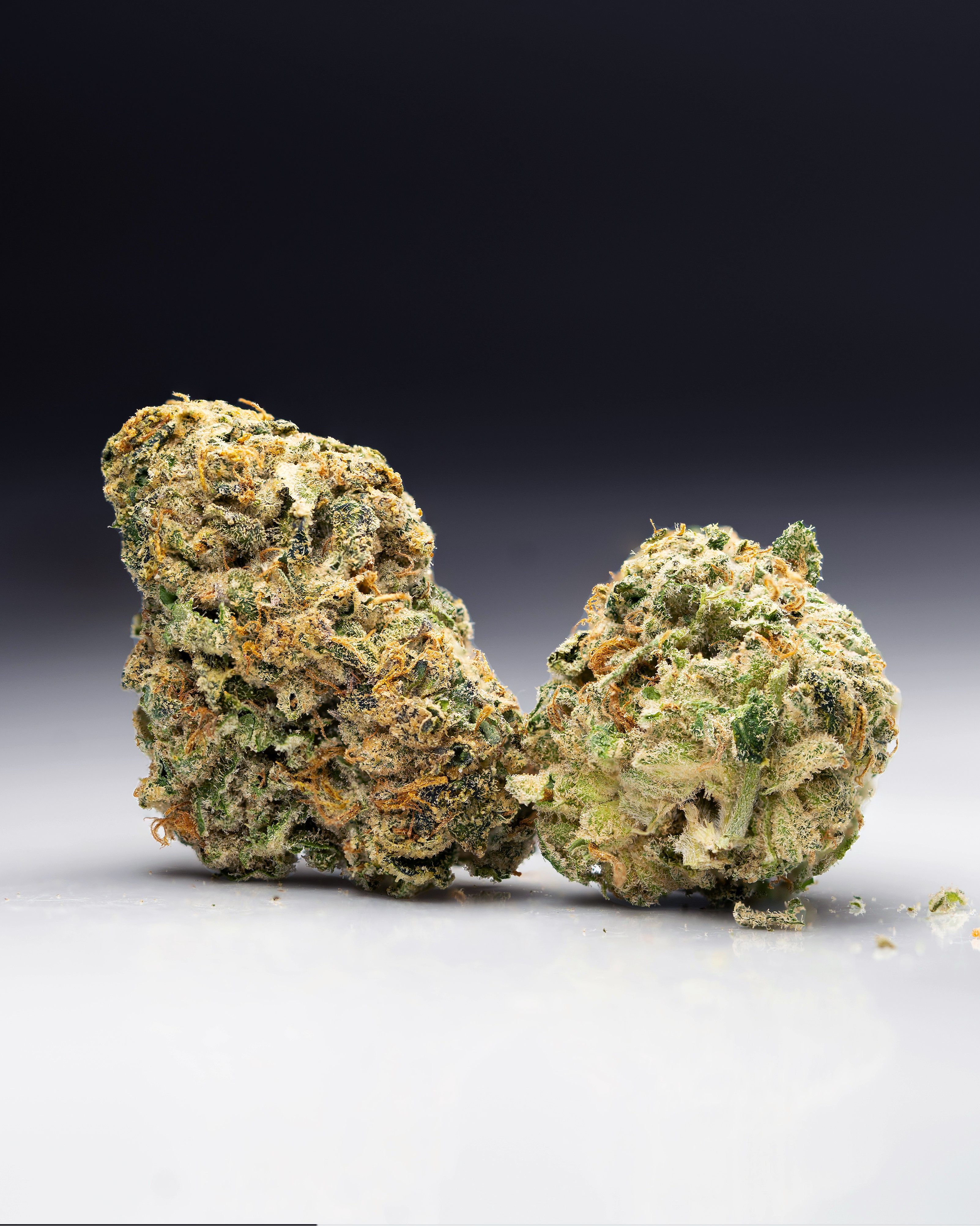 Rectify Suppositories