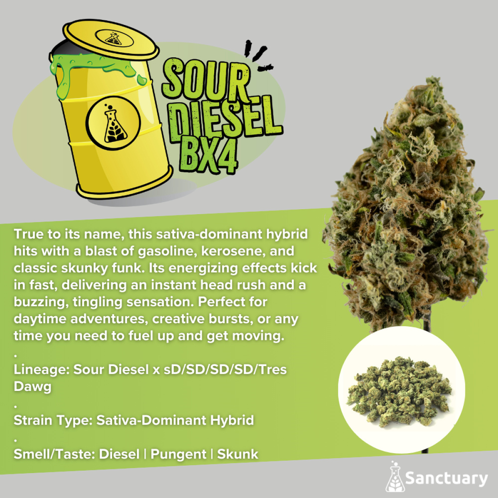 Sanctuary - Sour Diesel Bx4 Flower