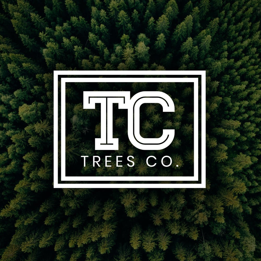 Trees Co. - Durban Cheese Flower