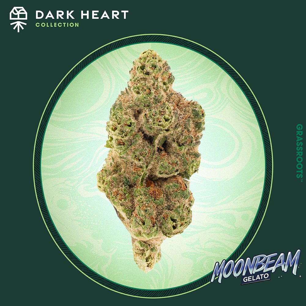 Moonbeam Gelato | Half OZ |14g| - REC - 14g - Packed