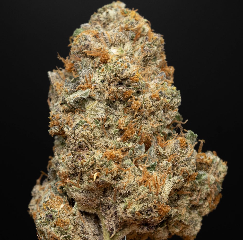 Purple Diesel x Cookies