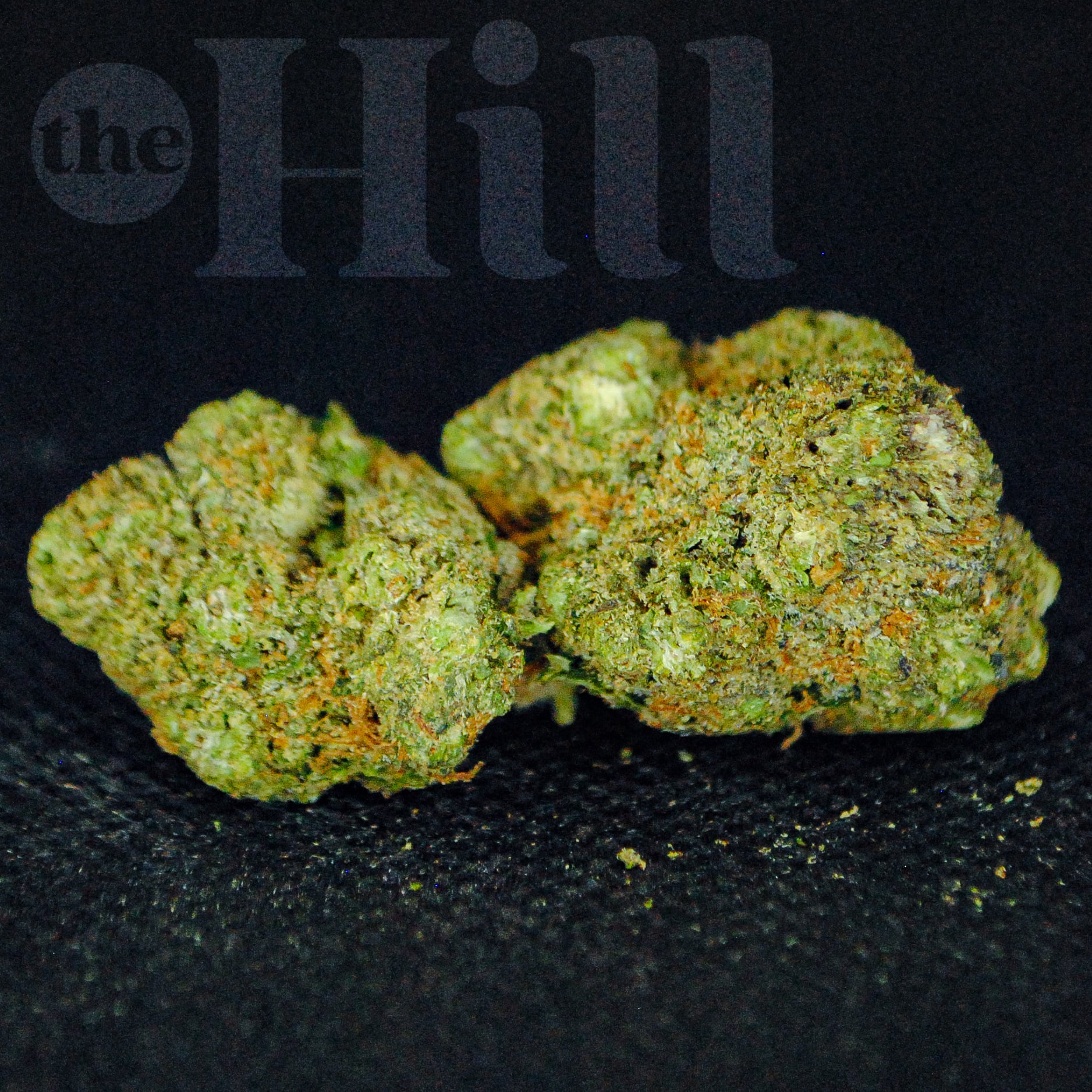 Sour Berry Blue