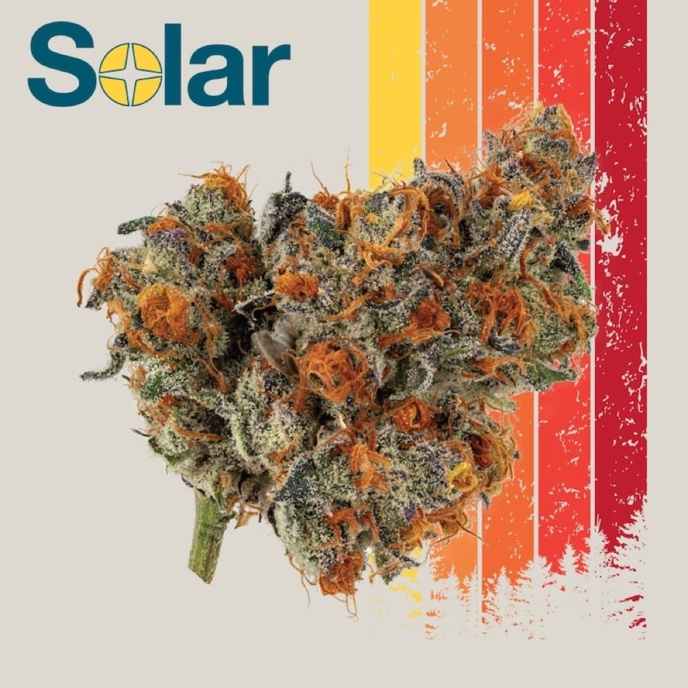 Solar Cannabis Co. - Jokerz Candy Flower